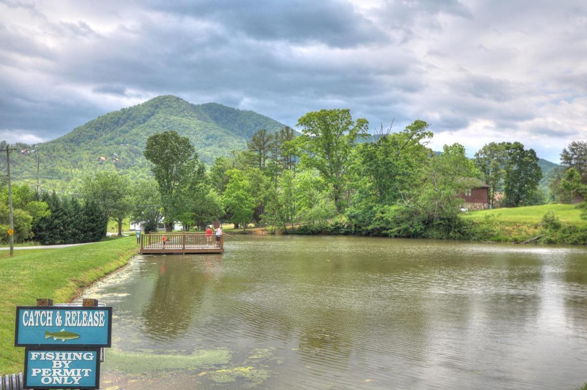 Bears Valley Inn - Less Than 15 Min To All Attractions - Great Location! - Peaceful, Children And Dog Friendly Retreat - Private Pool Club & Fishing Hole - Game Room With Tv セバービル エクステリア 写真